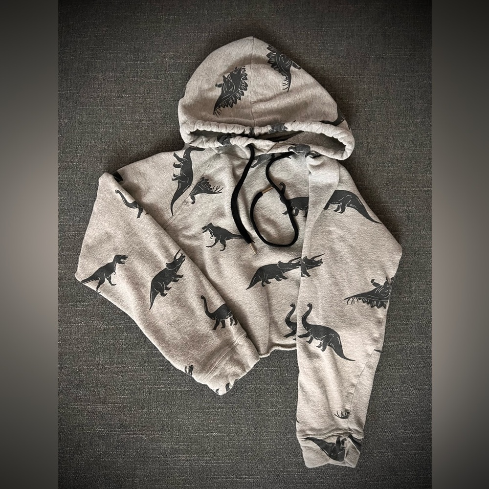 Gray Dinosaur Print Women's Hoodie